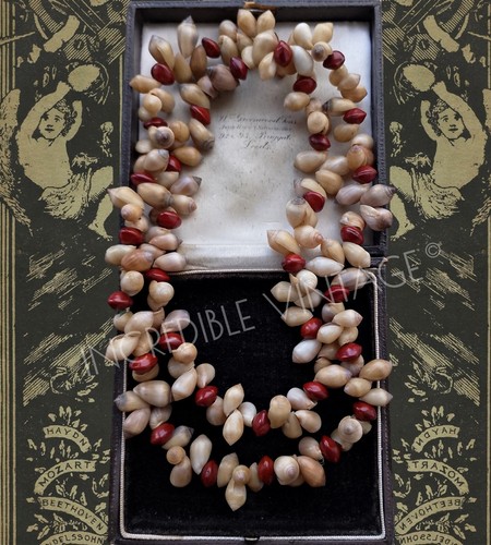 Antique victorian sea - victorian, shell