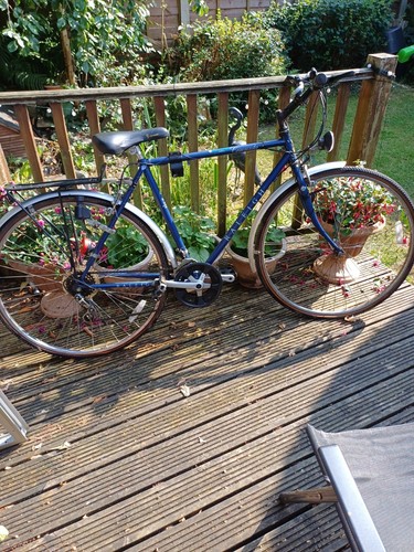 Raleigh pioneer commuter mens - raleigh,