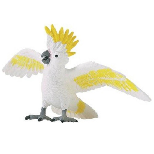 Cockatoo wings the - cockatoo,