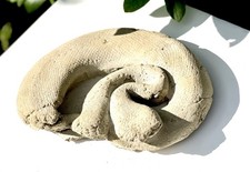 Snake Stone Garden Ornament Sculpture Statue