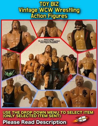 Toy biz vintage - vintage, wcw