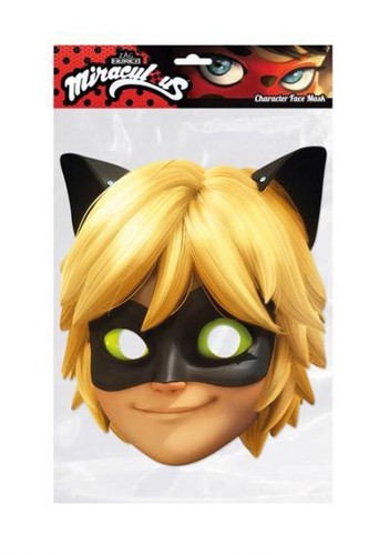 Cat noir from - cat, miraculous