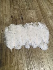 10x Ostrich Feathers White