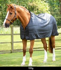 Premier Equine 100g Horse Rug