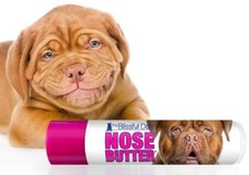 Dogue De Bordeaux Blissful Dog