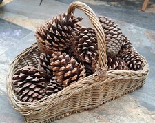  Pair Of Large Natural Pine