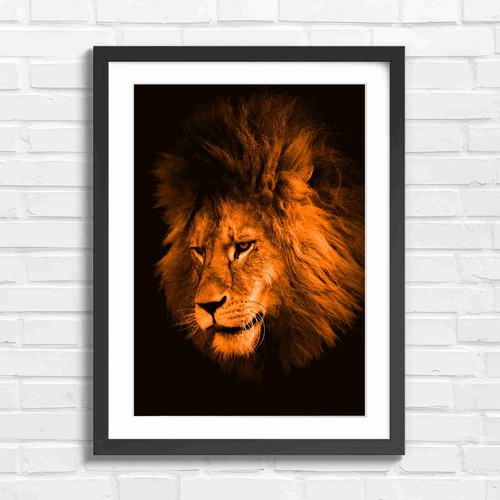Majestic male lion - majestic,