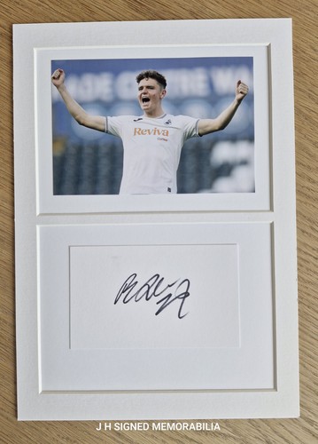 Swansea city bobby wales hand - city,