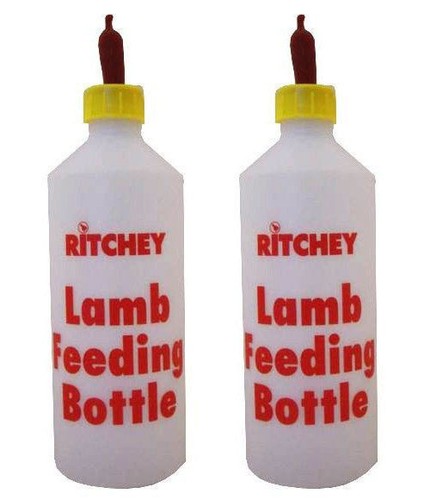 Ritchey lamb feeding - lamb,