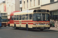 COLOUR BUS PHOTO BRIGHTON &