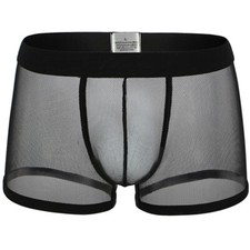 Sexy Mens Mesh Sheer See