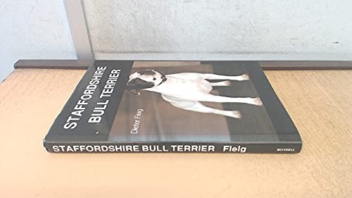 Staffordshire bull terrier - bull,