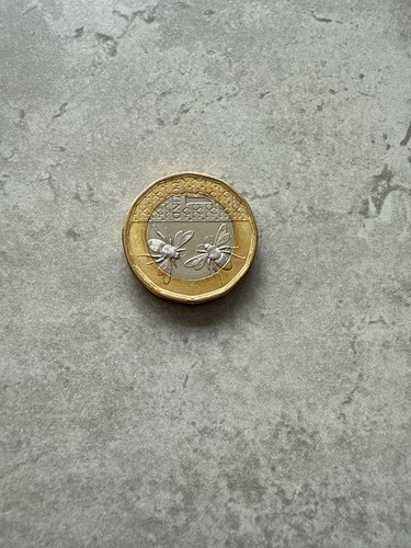 King charles pound - king, 1
