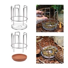 Turtle Feeding Tray Decorative