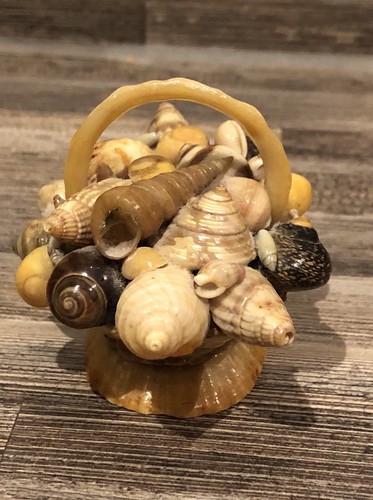 Gorgeous vintage seashell - gorgeous,