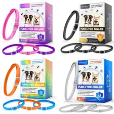Dog Flea Tick Collar for Dogs