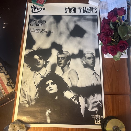 Siouxsie and the - and, banshees