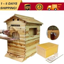 Cedar Wood Auto Bee hive Brood
