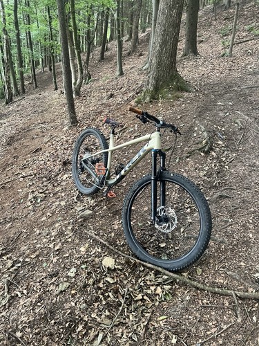 Trek roscoe mountain bike - mountain,