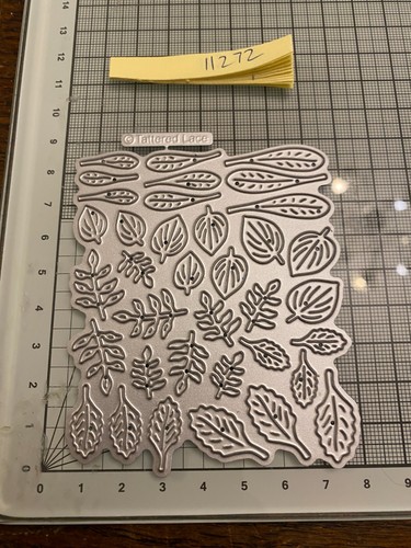 Tattered lace miniature swift - lace,