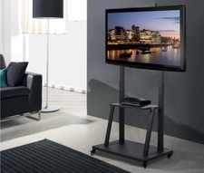 Mobile TV Stand with Mount
