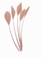 Long Fascinators Feathers Stripped Coque Millinery Hats Trimmings Coloured Craft