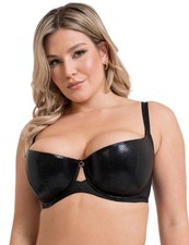 Scantilly by Curvy Kate