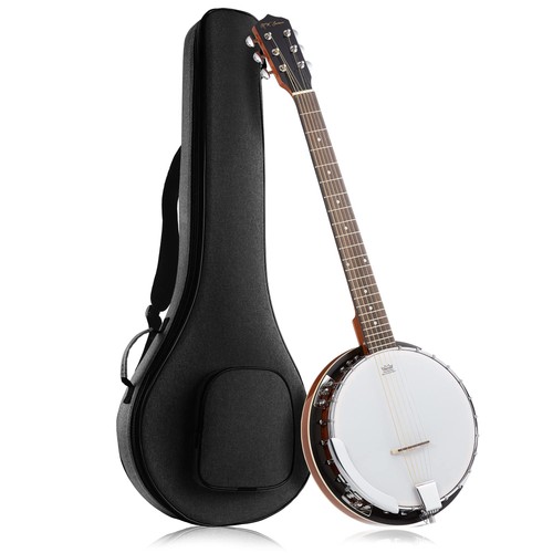 String banjo guitar - guitar, with