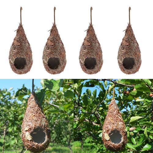Water drop bird nest - water,