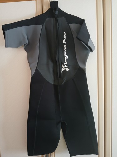 Gents shorty wetsuit - shorty,