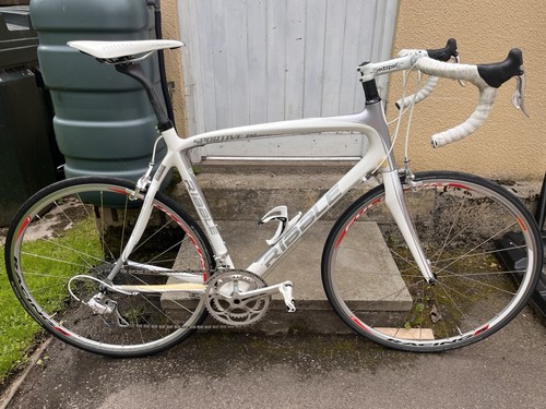 Ribble sportive bianco - ribble,