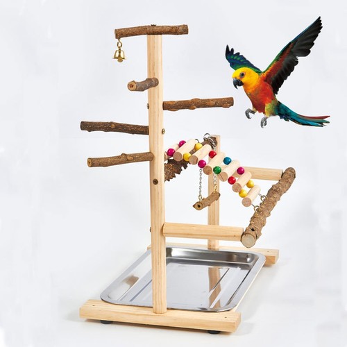 Budgie playground parrot - playground,