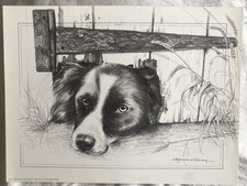 Pollyanna Pickering Border