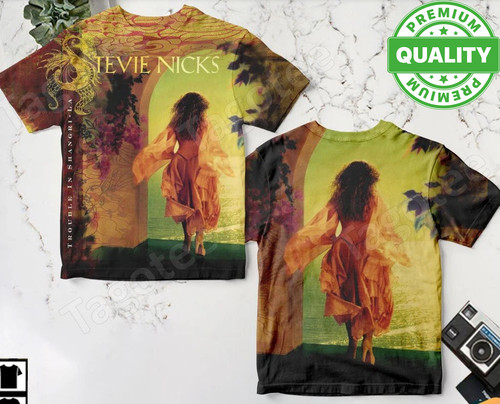 Stevie nicks trouble - nicks, in