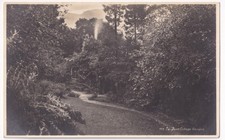 Wordsworth Grasmere Dove