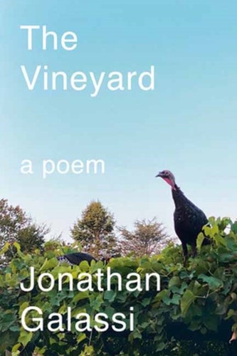 Vineyard