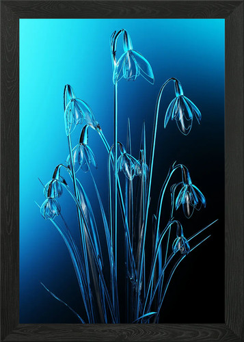 Glass snowdrops framed wall - glass,