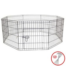 PetBarn Dog Puppy Rabbit