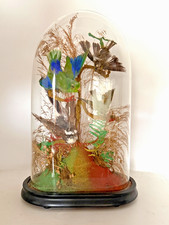 ANTIQUE VICTORIAN BIRDS