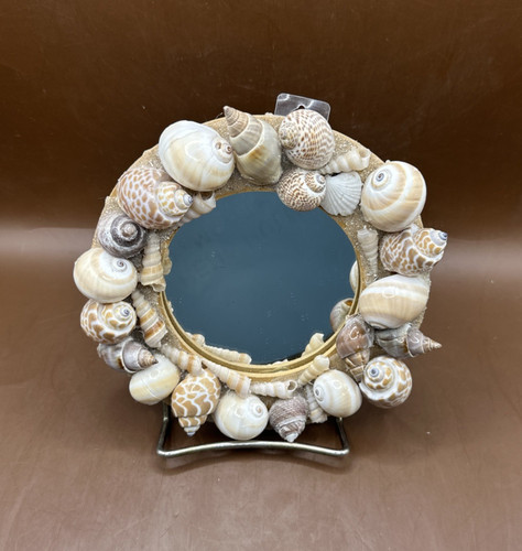 Small round seashell - 6",