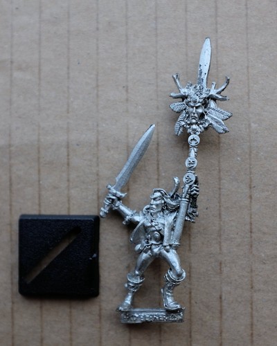 Elf scout standard bearer - scout,