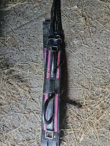 Horse vaulting roller - vaulting,