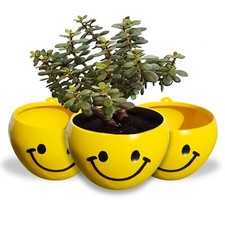 Plant Pot With Drainage Hole