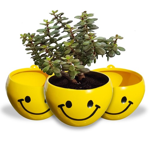 Plant pot with - pot,