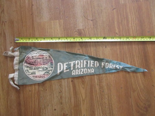 Vintage arizona petrified - vintage,