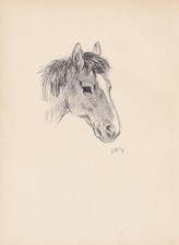 1946 HORSE Print - Lucy Dawson