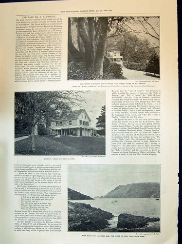 Old 1894 moult - 1894, devon