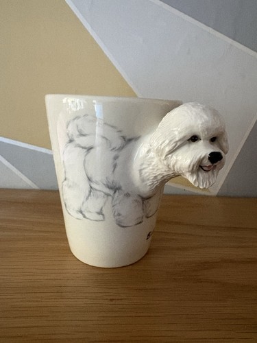 Blue witch bichon - witch,