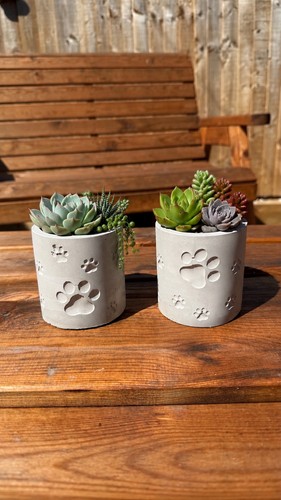 Dog paw plant pot - pot, cute