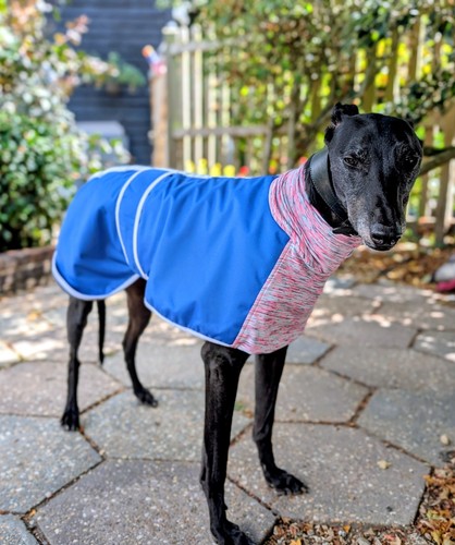 Blue lightweight greyhound - blue,
